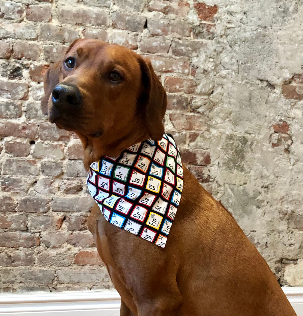 Koa's Ruff Life, Koa in the periodic table large bandana. This is part of the science collection.