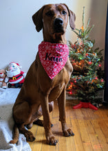 Load image into Gallery viewer, Koa&#39;s Ruff Life, Koa in a large red snowflake bandana for dogs personalized with your pup&#39;s name
