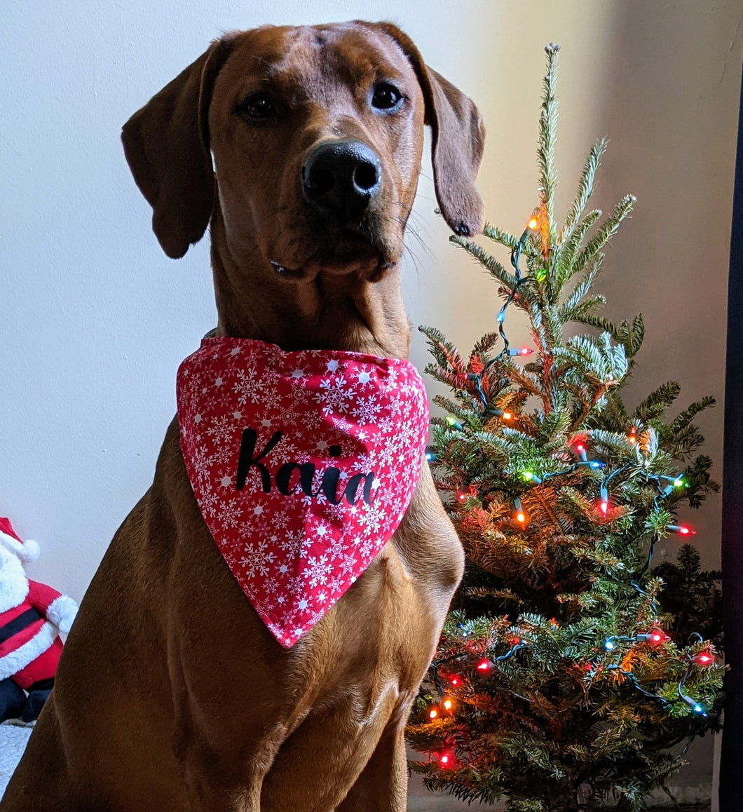Koa's Ruff Life, Koa in a large red snowflake bandana for dogs personalized with your pup's name