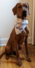 Load image into Gallery viewer, Koa&#39;s Ruff Life, Koa in a large sprinkle birthday girl bandana personalized with your pup&#39;s name
