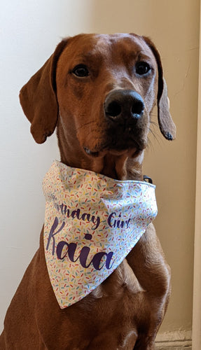 Koa's Ruff Life, Koa in a large sprinkle birthday girl bandana personalized with your pup's name