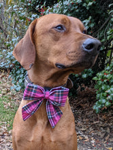 Load image into Gallery viewer, Koa&#39;s Ruff Life, Koa in a large Valentine&#39;s Day tartan plaid sailor bow
