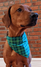 Load image into Gallery viewer, Koa&#39;s Ruff Life, Koa in a large luck of the Irish plaid bandana personalized with your pup&#39;s name
