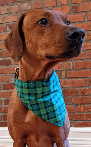 Koa's Ruff Life, Koa in a large luck of the Irish plaid bandana personalized with your pup's name