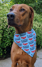 Load image into Gallery viewer, Koa&#39;s Ruff Life, Koa in a large blue &quot;a little crabby&quot; bandana

