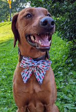 Load image into Gallery viewer, Koa&#39;s Ruff Life, Koa in a large &quot;I love mommy&quot; sailor bow
