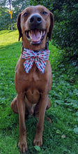 Load image into Gallery viewer, Koa&#39;s Ruff Life, Koa in a large &quot;I love mommy&quot; sailor bow

