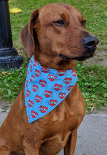 Load image into Gallery viewer, Koa&#39;s Ruff Life, Koa in a large dad heart tattoo bandana
