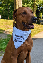 Load image into Gallery viewer, Koa&#39;s Ruff Life, Koa in. a large &#39;My humans are getting married&#39; dog bandana

