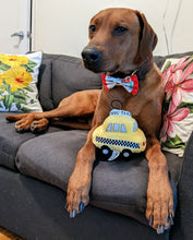 Load image into Gallery viewer, Koa&#39;s Ruff Life, NYC taxi dog toy

