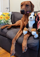 Load image into Gallery viewer, Koa&#39;s Ruff Life, large floppy berner dog toy
