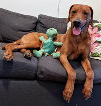 Load image into Gallery viewer, Koa&#39;s Ruff Life, floppy turtle large dog toy
