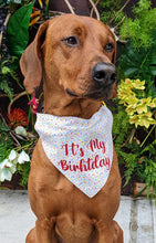 Load image into Gallery viewer, Koa&#39;s Ruff Life, Koa in a large &quot;it&#39;s my birthday&quot; sprinkle dog bandana
