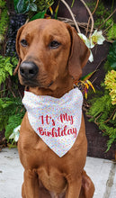 Load image into Gallery viewer, Koa&#39;s Ruff Life, Koa in a large &quot;it&#39;s my birthday&quot; sprinkle dog bandana
