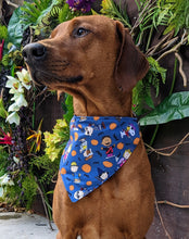 Load image into Gallery viewer, Koa&#39;s Ruff Life, Koa in a large blue Peanuts costume halloween bandana for dogs
