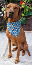 Load image into Gallery viewer, Koa&#39;s Ruff Life, Koa in a large tossed pumpkin teal bandana for dogs
