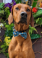 Load image into Gallery viewer, Koa&#39;s Ruff Life, Koa in a large tossed pumpkin teal bow tie for dogs
