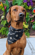 Load image into Gallery viewer, Koa&#39;s Ruff Life, Koa in a large New Orleans Saints camo bandana for dogs
