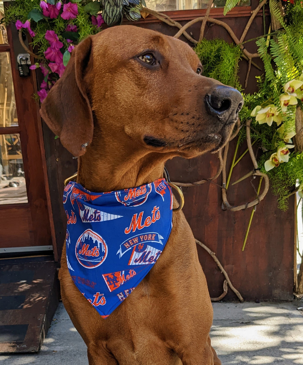 New York Yankees Dog Bandana/Tie On Dog Bandana