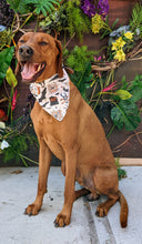 Load image into Gallery viewer, Koa&#39;s Ruff Life, Koa in a large Hallow&#39;s Eve large bandana for dogs
