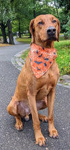 Load image into Gallery viewer, Koa&#39;s Ruff Life, Koa in a large orange spider web and bats bandana for dogs
