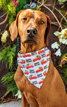 Load image into Gallery viewer, Koa&#39;s Ruff Life, Koa in a large Happy Pawliday bandana for dogs

