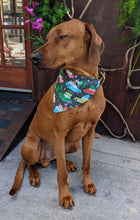 Load image into Gallery viewer, Koa&#39;s Ruff Life, Koa in a large vintage Christmas car bandana for dogs personalized with your pup&#39;s name
