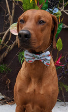 Load image into Gallery viewer, Koa&#39;s Ruff Life, Koa in a large Christmas tree trucks bow tie for dogs
