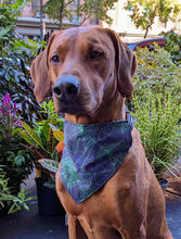 Load image into Gallery viewer, Koa&#39;s Ruff Life, Koa in a large green spider web Halloween bandana for dogs personalized with your pup&#39;s name

