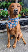 Load image into Gallery viewer, Fall Coffee and Pumpkin Donuts Bandana
