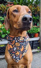 Load image into Gallery viewer, Koa&#39;s Ruff Life, Koa in a large Autumn leaves at midnight bandana for dogs personalized with your pups name
