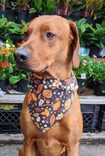 Load image into Gallery viewer, Koa&#39;s Ruff Life, Koa in a large Autumn leaves at midnight bandana for dogs personalized with your pups name
