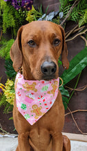 Load image into Gallery viewer, Koa&#39;s Ruff Life, Koa in a large pink Christmas candy bandana for dogs, personalized with your pup&#39;s name
