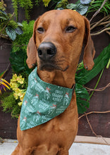 Load image into Gallery viewer, Koa&#39;s Ruff Life, Koa in a large mistletoe dog kisses bandana for dogs personalized with your pups name

