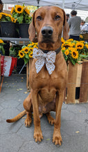 Load image into Gallery viewer, Koa&#39;s Ruff Life, Koa in a large Happy New Years large  sailor bow for dogs, personalized
