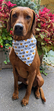 Load image into Gallery viewer, Koa&#39;s Ruff Life, Koa in a large love Irish bandana for dogs, personalized wit your pup&#39;s name
