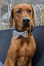 Load image into Gallery viewer, Koa&#39;s Ruff Life, Koa in a large New Years Eve Bow Tie for Dogs, personalized!
