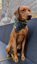 Load image into Gallery viewer, Koa&#39;s Ruff Life, Koa in a large black mardi gras abstract bandana personalized with your pups name
