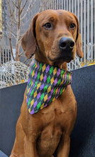 Load image into Gallery viewer, Koa&#39;s Ruff Life, Koa in a large Mardi Gras Argyle bandana personalized with your pups name
