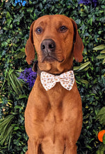 Load image into Gallery viewer, Happy New Years Bow Tie
