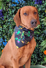 Load image into Gallery viewer, Koa&#39;s Ruff Life, Koa in a large black mardi gras abstract bandana personalized with your pups name
