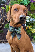 Load image into Gallery viewer, Koa&#39;s Ruff Life, Koa in a large southern camouflage sailor bow
