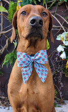 Load image into Gallery viewer, Koa&#39;s Ruff Life, Koa in a large BFF heart sailor bow 
