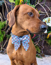 Load image into Gallery viewer, Koa&#39;s Ruff Life, Koa in a large BFF heart sailor bow 
