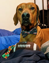 Load image into Gallery viewer, Koa&#39;s Ruff Life, Koa in a large black San Francisco 49ers bow tie for dogs
