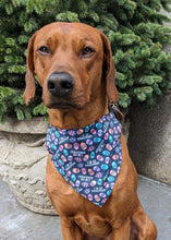 Load image into Gallery viewer, Koa&#39;s Ruff Life, Koa in a large &quot;I&#39;m so EGG-cited&quot; bandana for dogs
