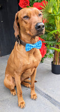 Load image into Gallery viewer, Heart Mama&#39;s Boy Bow Tie
