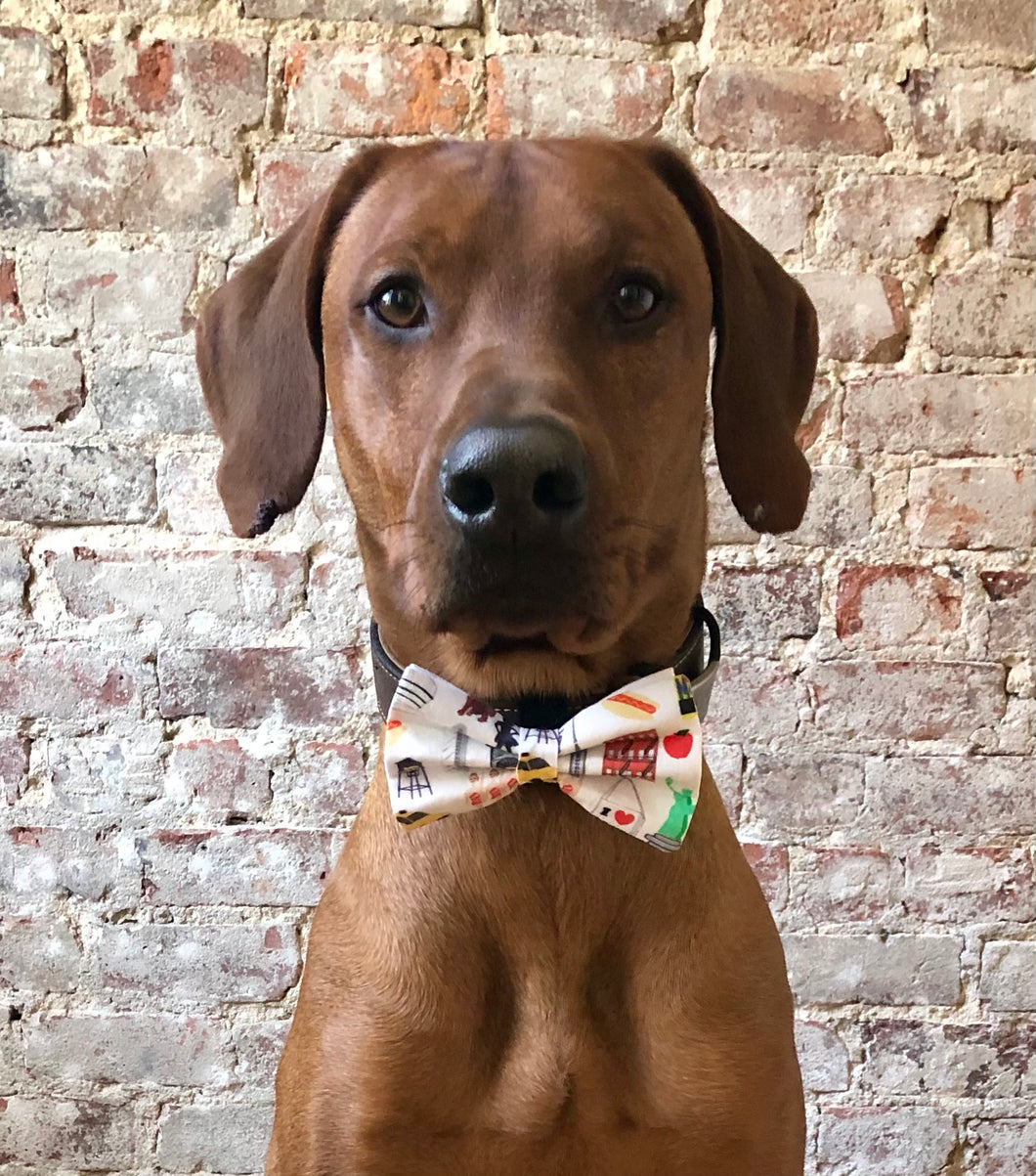 Koa's Ruff Life, Koa is in the New York City Motif option A large bow tie.