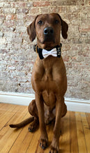 Load image into Gallery viewer, Koa&#39;s Ruff Life, Koa in the wedding &quot;best dog&quot; bow tie. This bow tie has the classic tuxedo look. Also may be personalized with &quot;dog of honor&quot; or your pup&#39;s name.
