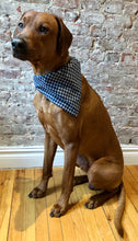 Load image into Gallery viewer, Koa&#39;s Ruff Life, Koa in the blue/grey plaid large bandanafor dogs.
